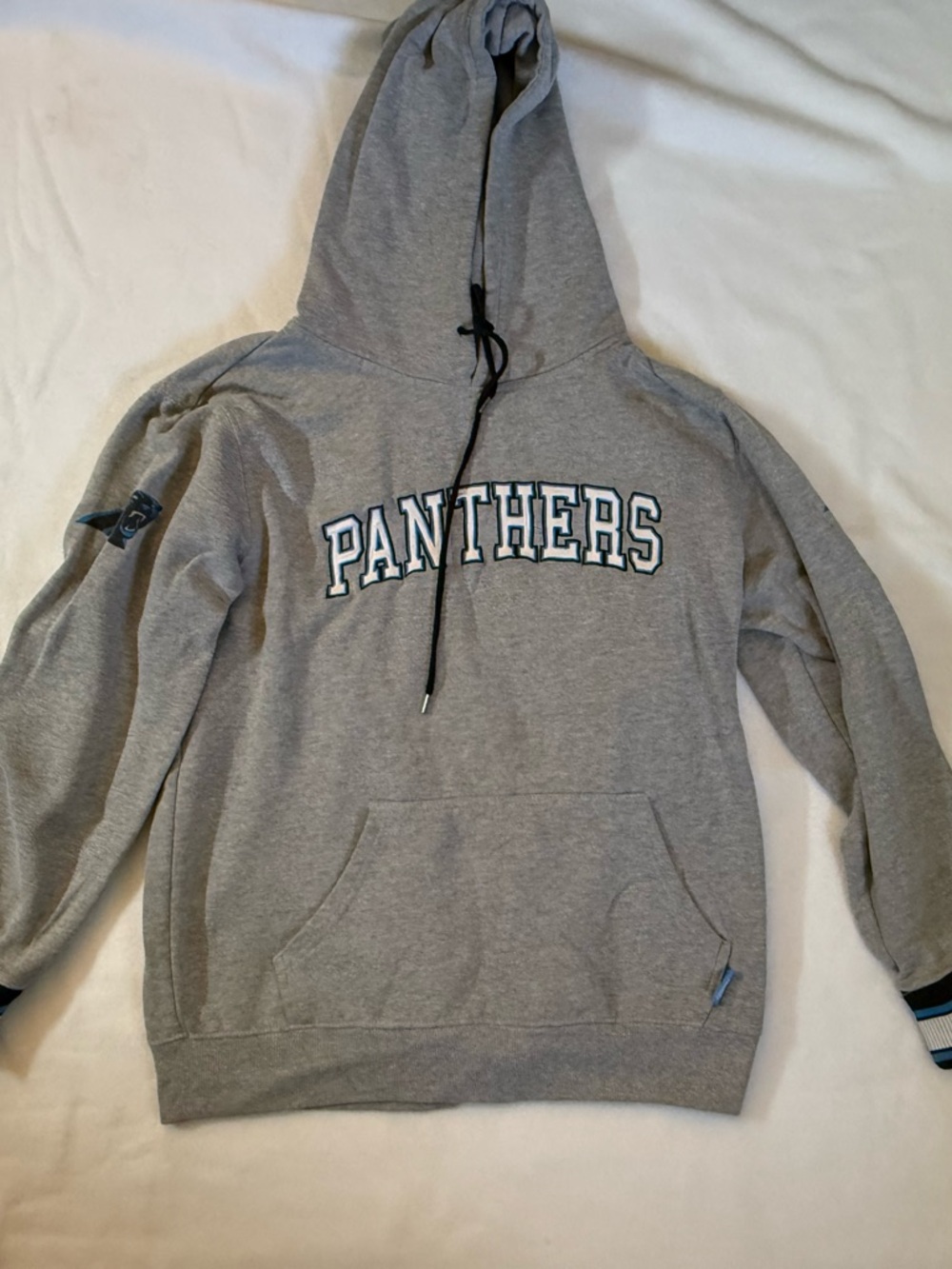 Panthers Grey Hooded Sweatshirt - Team Pullover size large